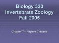 Biology 320 Invertebrate Zoology Fall 2005 PowerPoint PPT Presentation