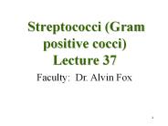 Streptococci (Gram positive cocci) Lecture 37