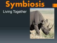 Symbiosis
