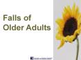 Falls of Older Adults PowerPoint PPT Presentation
