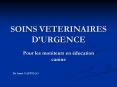 SOINS VETERINAIRES D PowerPoint PPT Presentation