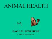 ANIMAL HEALTH