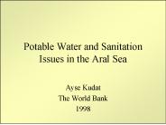 Potable Water and Sanitation Issues in the Aral Sea