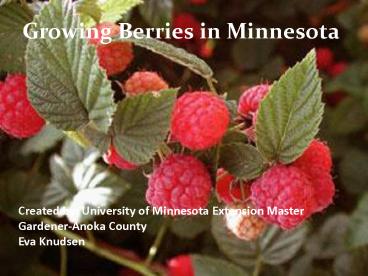 Created by: University of Minnesota Extension Master Gardener-Anoka County Eva Knudsen