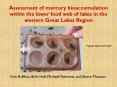 Assessment of mercury bioaccumulation within the lower food web of lakes in the western Great Lakes Region PowerPoint PPT Presentation