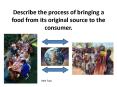 Describe the process of bringing a food from its original source to the consumer. PowerPoint PPT Presentation
