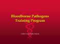 Bloodborne Pathogens Training Program PowerPoint PPT Presentation