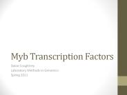 Myb Transcription Factors