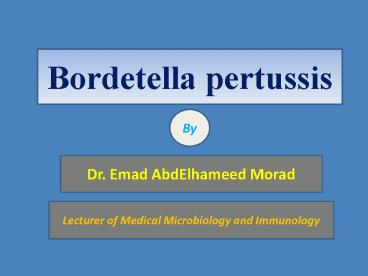 Bordetella pertussis