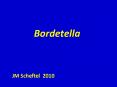 Bordetella PowerPoint PPT Presentation