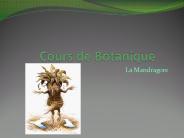 Cours de Botanique
