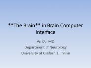 **The Brain** in Brain Computer Interface