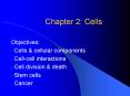 Chapter 2: Cells PowerPoint PPT Presentation