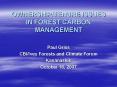 OWNERSHIP/TENURE ISSUES IN FOREST CARBON MANAGEMENT PowerPoint PPT Presentation