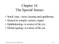 Chapter 16 The Special Senses PowerPoint PPT Presentation