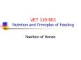 VET 110-601 Nutrition and Principles of Feeding PowerPoint PPT Presentation