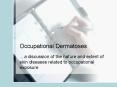 Occupational Dermatoses PowerPoint PPT Presentation