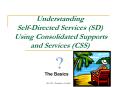 Understanding Self-Directed Services (SD) Using Consolidated Supports and Services (CSS) PowerPoint PPT Presentation