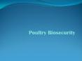 Poultry Biosecurity PowerPoint PPT Presentation