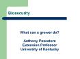 Biosecurity PowerPoint PPT Presentation