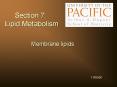 Section 7.  Lipid Metabolism PowerPoint PPT Presentation