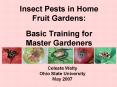 Insect Pests in Home Fruit Gardens:    Basic Training for Master Gardeners PowerPoint PPT Presentation