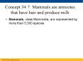 Concept 34.7: Mammals are amniotes that have hair and produce milk PowerPoint PPT Presentation