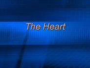 The Heart