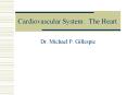 Cardiovascular System: The Heart PowerPoint PPT Presentation