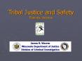 Working Together As Partners to  Prevent Crimes Against Children in  Indian Country PowerPoint PPT Presentation