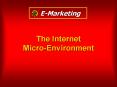 The Internet Micro-Environment PowerPoint PPT Presentation