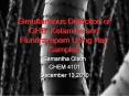 Simultaneous Detection of GHB, Ketamine and Flunitrazepam Using Hair Samples PowerPoint PPT Presentation