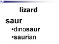 lizard PowerPoint PPT Presentation