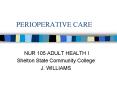 PERIOPERATIVE CARE PowerPoint PPT Presentation