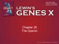 Chapter 26 The Operon PowerPoint PPT Presentation