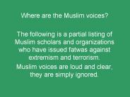 Where are the Muslim voices?