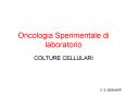 Oncologia Sperimentale di laboratorio PowerPoint PPT Presentation