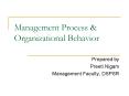 Management Process PowerPoint PPT Presentation