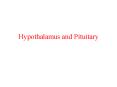 Hypothalamus and Pituitary PowerPoint PPT Presentation