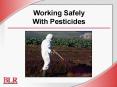 Working Safely With Pesticides PowerPoint PPT Presentation