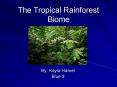 The Tropical Rainforest Biome PowerPoint PPT Presentation