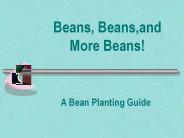 Beans, Beans,and More Beans!
