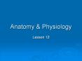 Anatomy PowerPoint PPT Presentation