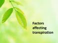 Factors affecting transpiration PowerPoint PPT Presentation