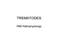 TREMATODES PowerPoint PPT Presentation