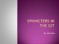Sphincters in the git PowerPoint PPT Presentation