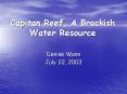Capitan Reef, A Brackish Water Resource PowerPoint PPT Presentation