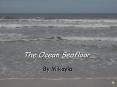 The Ocean Seafloor PowerPoint PPT Presentation