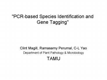 PCR-based Species Identification and Gene Tagging