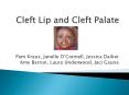 Cleft Lip and Cleft Palate PowerPoint PPT Presentation